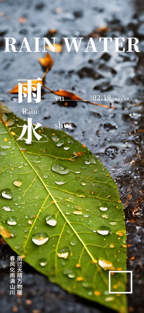 雨水节气摄影图海报素材