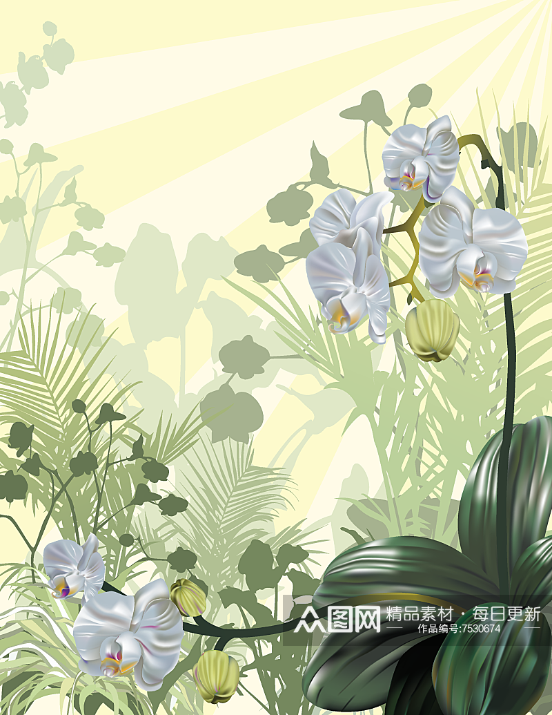 唯美花卉绿植树叶插画素材