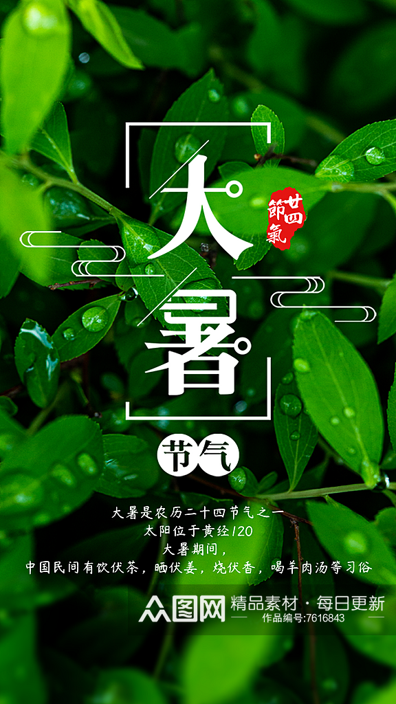 绿色树叶风景节气节日大暑小暑海报设计素材