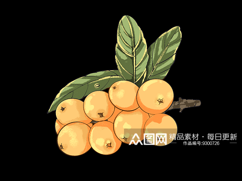 水果枇杷手绘插画元素素材