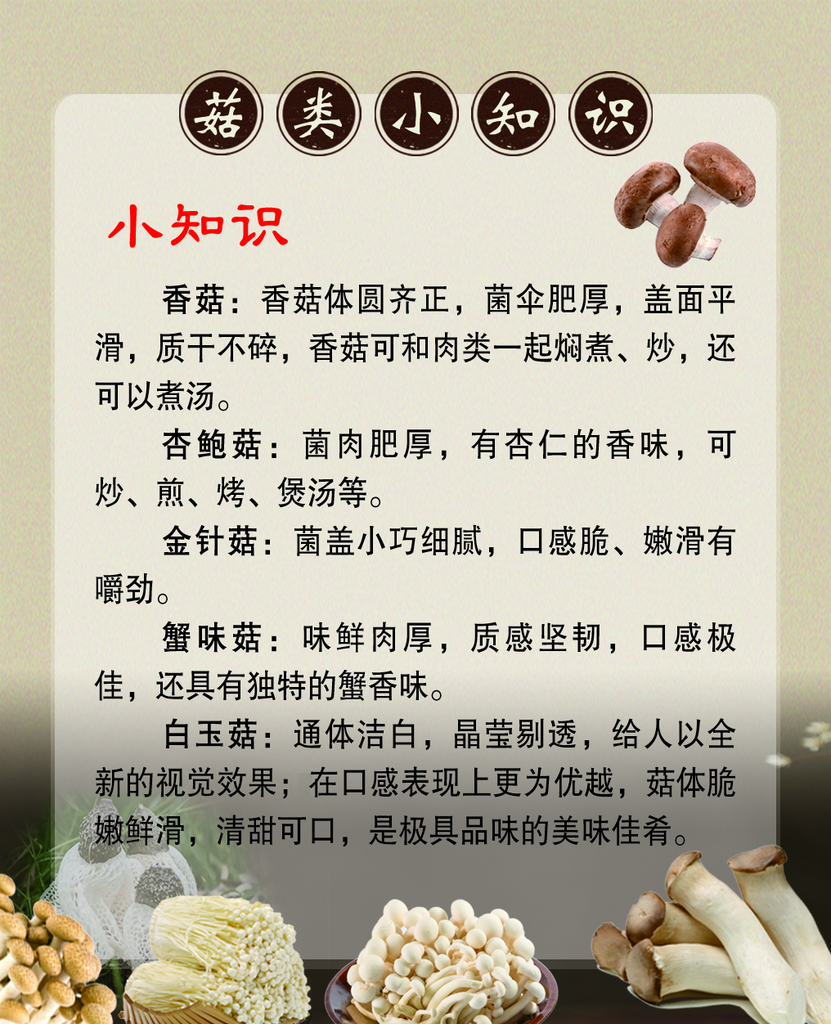 松茸山珍野味中式中医养生文化海报素材