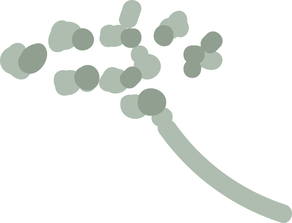 植物素材免抠元素素材