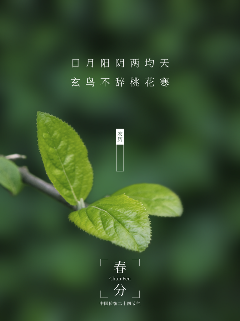 二十四节气春分宣传海报素材
