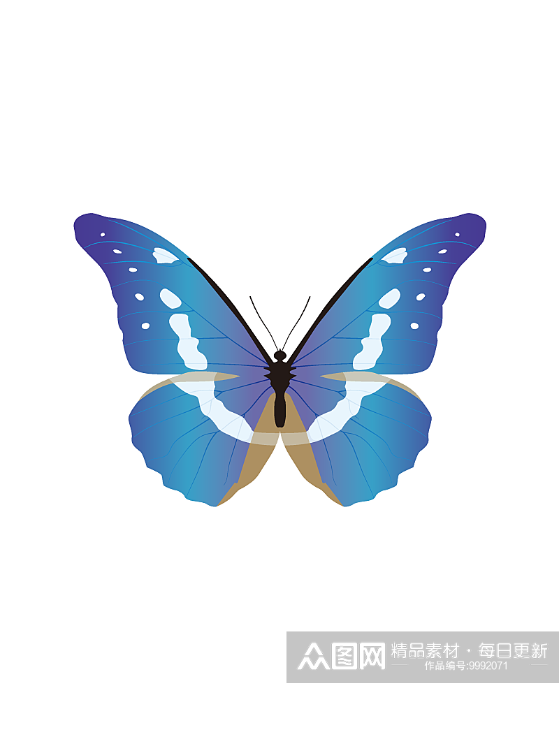 蓝色蝴蝶手绘插画素材