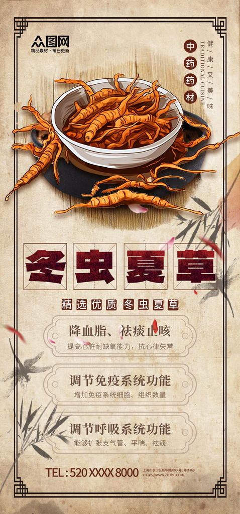 简约大气冬虫夏草中药药材补品海报素材