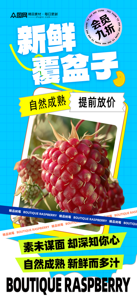 简约覆盆子树莓水果海报素材