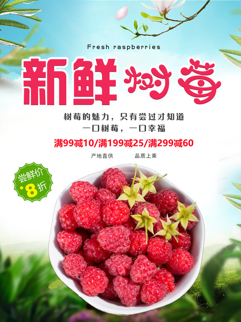特价新鲜树莓海报素材