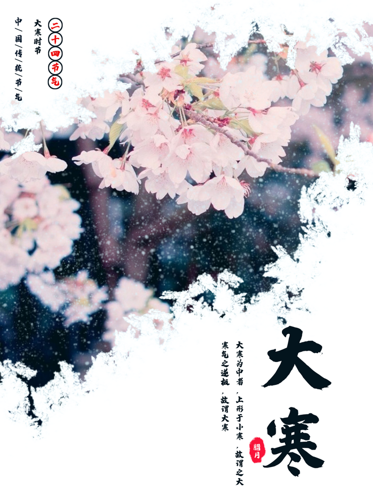 大寒二十四节气宣传海报素材素材