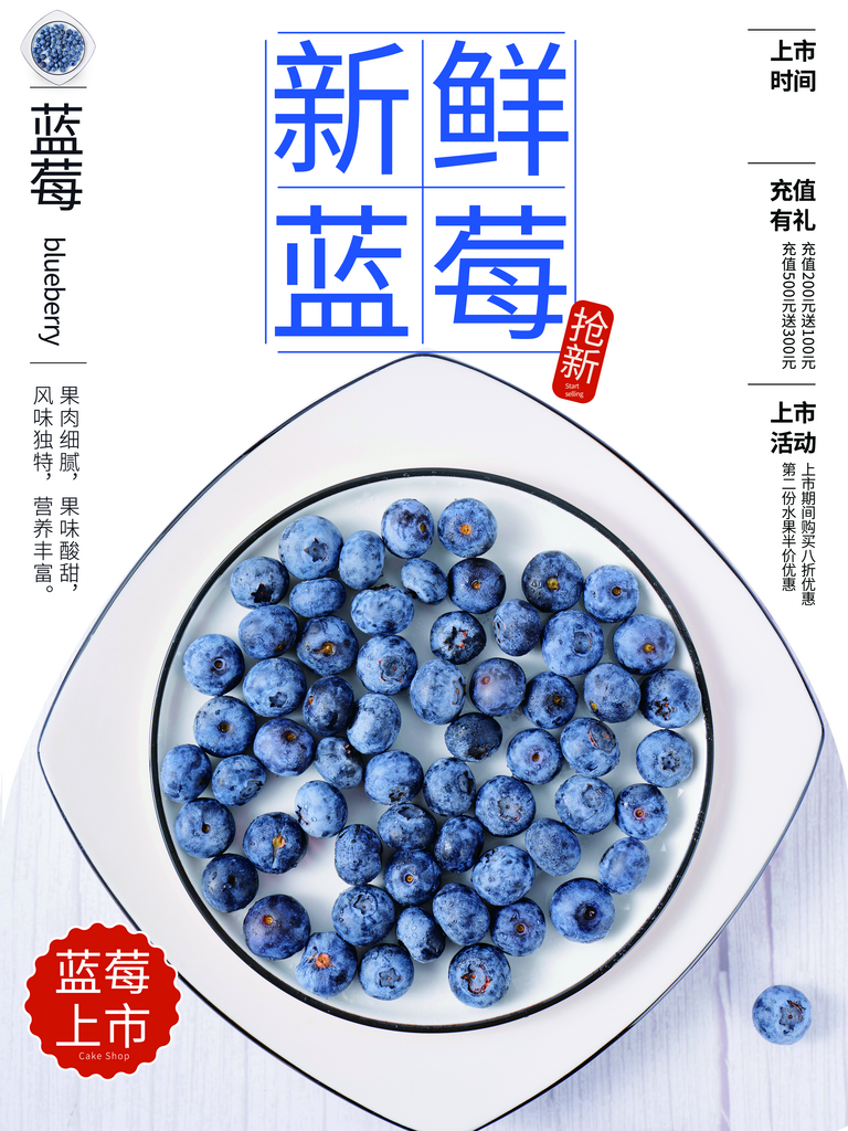 蓝莓海报宣传设计模版素材