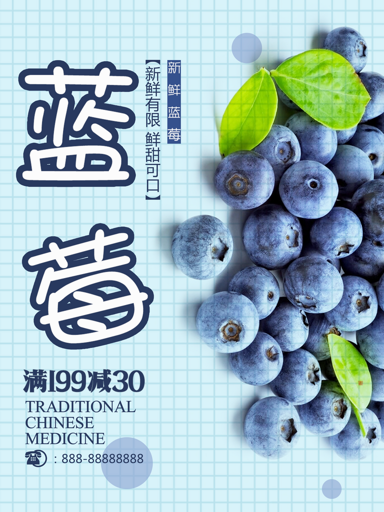 蓝莓海报宣传设计模版素材
