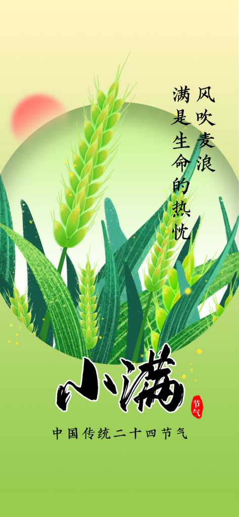 小满节气传统海报素材