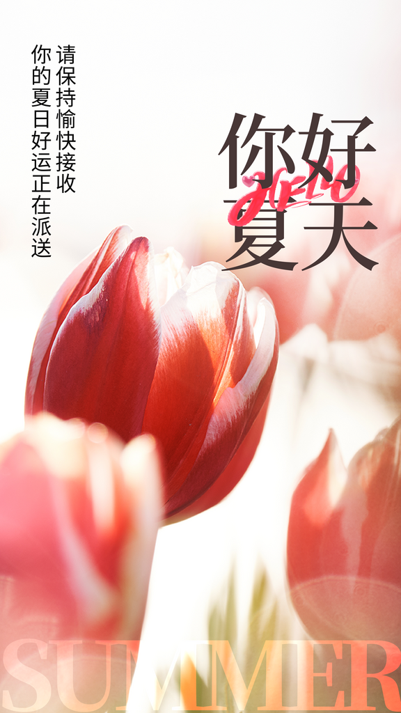 你好夏天PSD设计素材素材