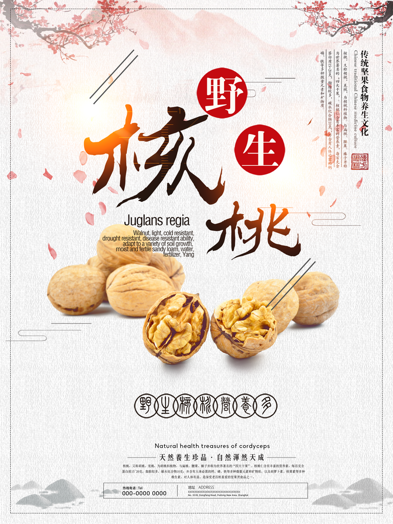 核桃宣传海报设计素材广告素材
