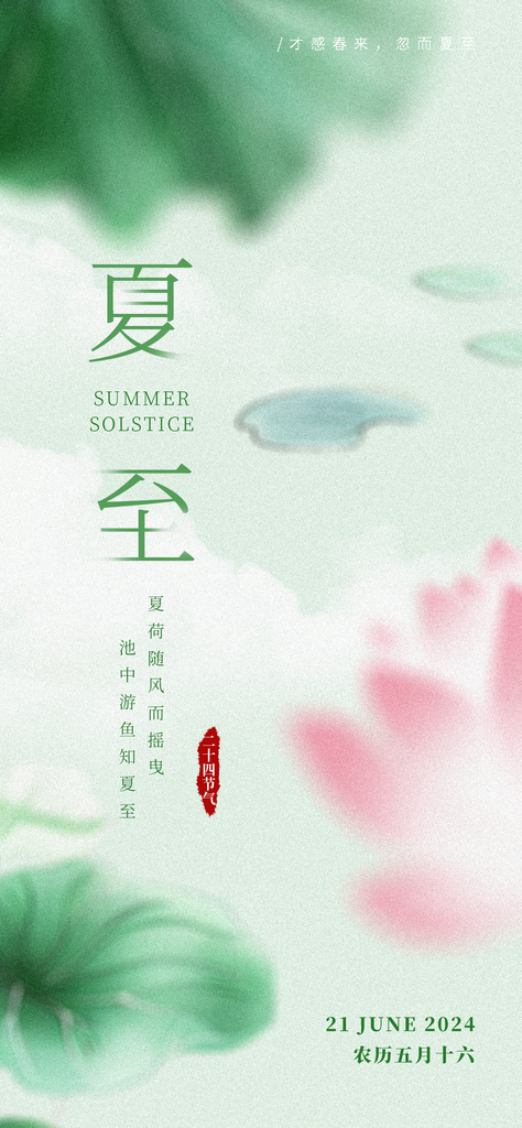 夏至夏天夏入夏荷叶荷花小池海报素材
