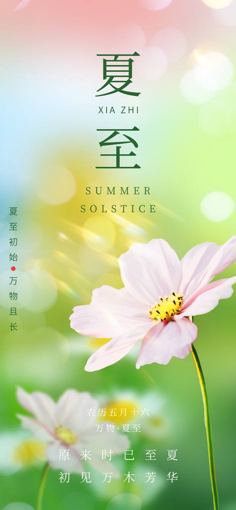 简约意境夏至节气启动页素材