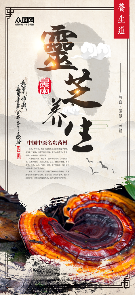 简约名贵中药材灵芝海报素材