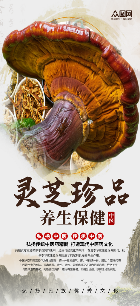 大气简洁名贵中药材灵芝海报素材