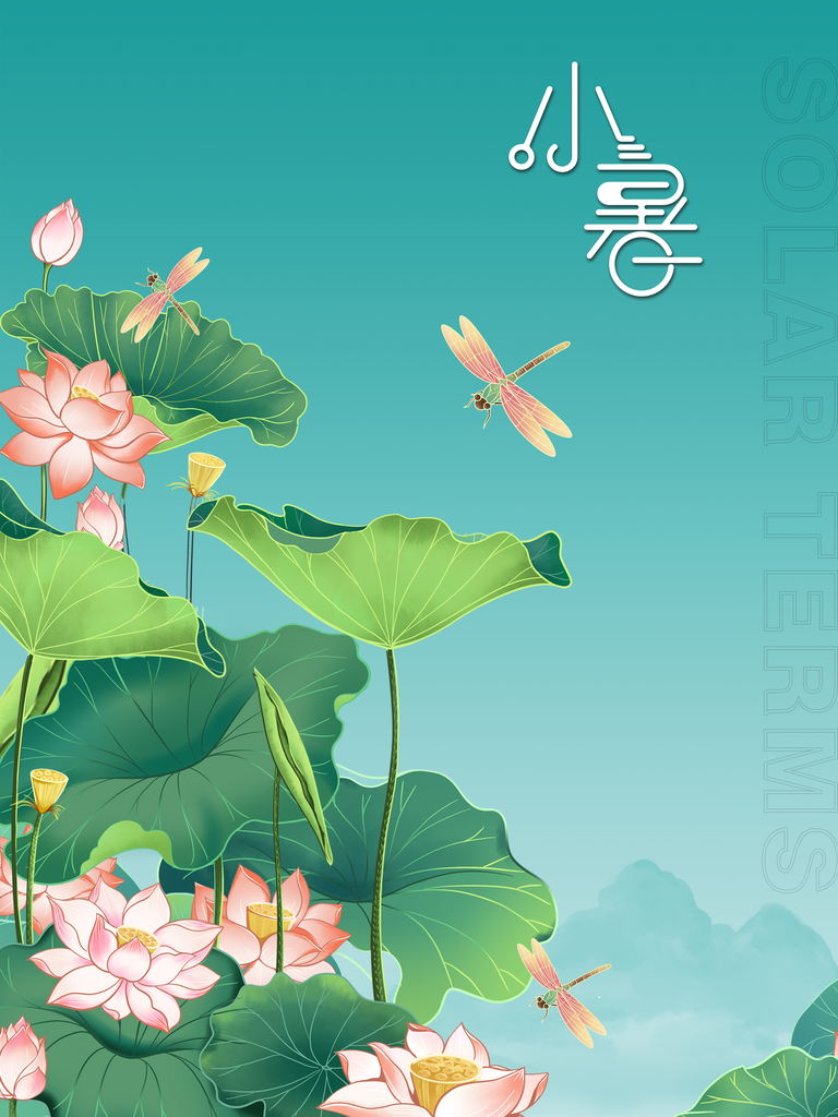 荷花节气小暑海报素材