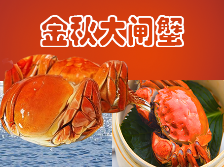 又大多肉的大闸蟹素材