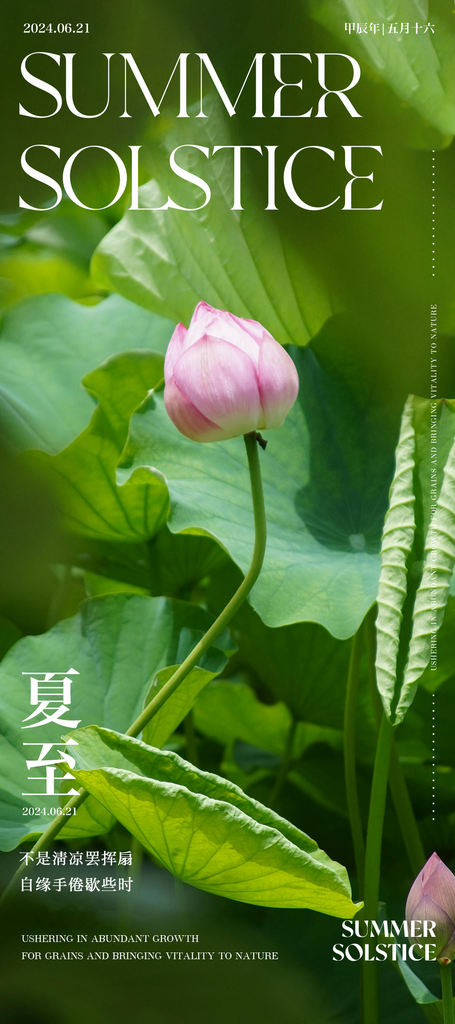 創(chuàng)意大氣夏至海報(bào)設(shè)計(jì)素材