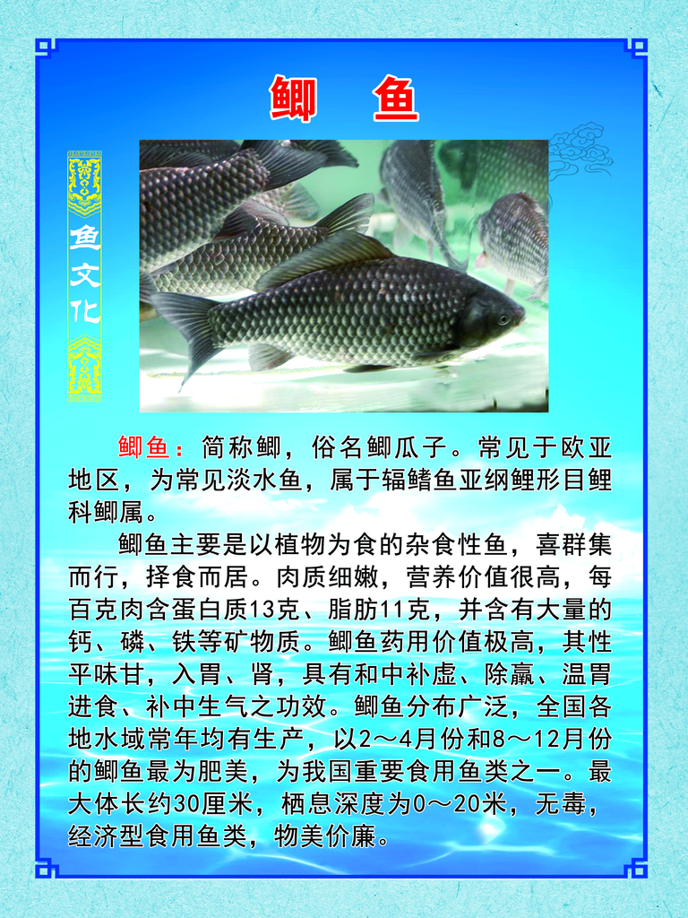 最新原创鲫鱼宣传海报素材