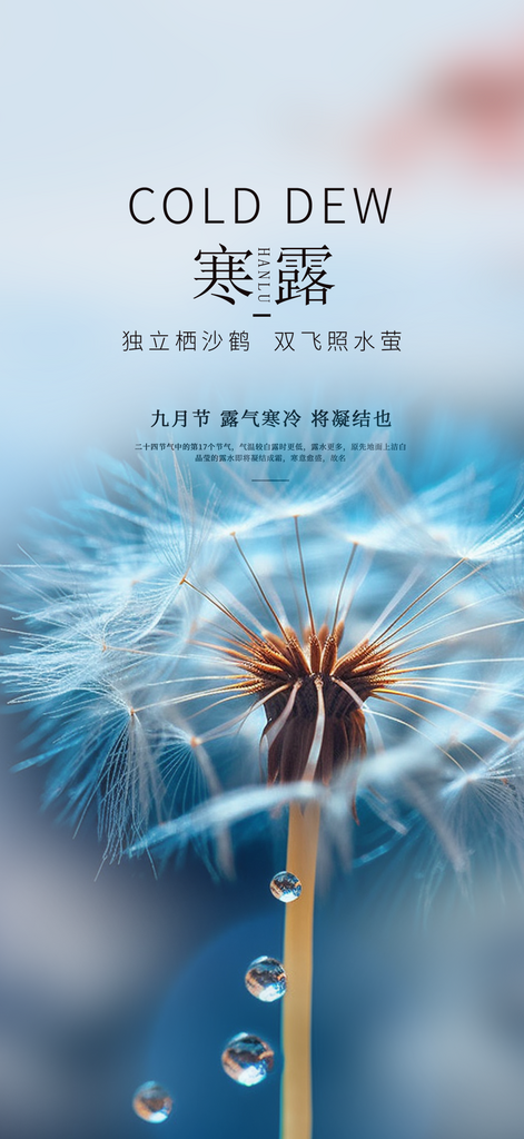 简约风寒露二十四节气海报素材