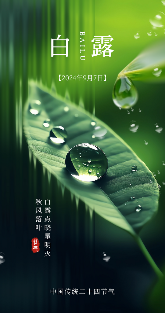 白露二十四节气手机开屏海报素材