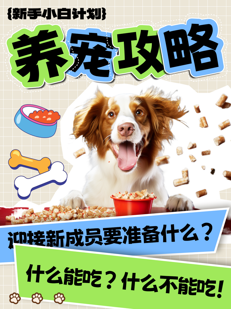 养宠攻略小红书封面海报素材