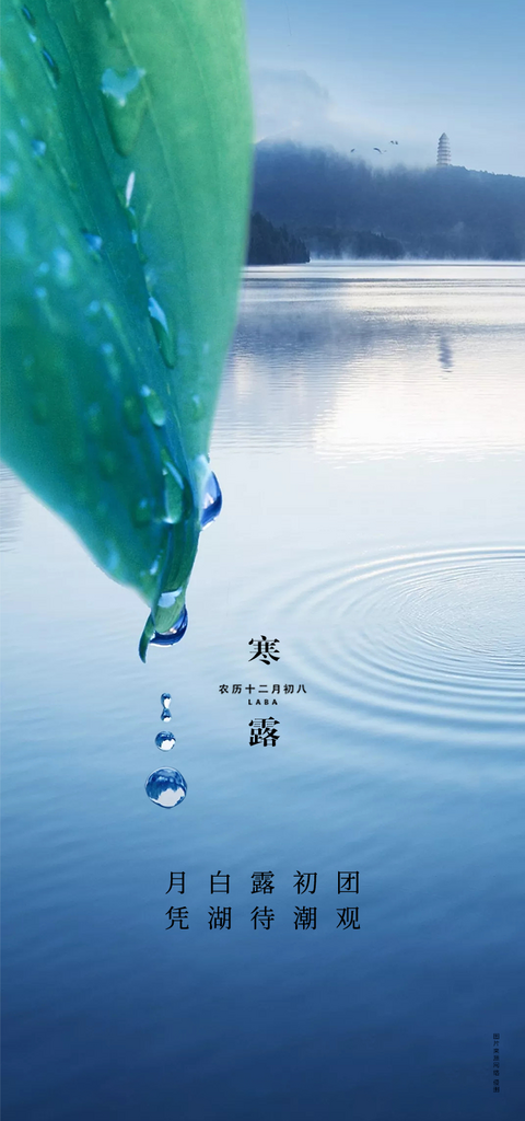 大气简约寒露海报素材