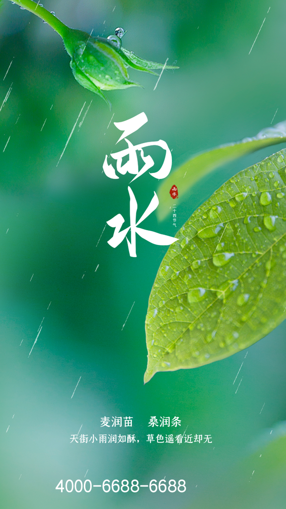 清新风雨水节气宣传海报素材