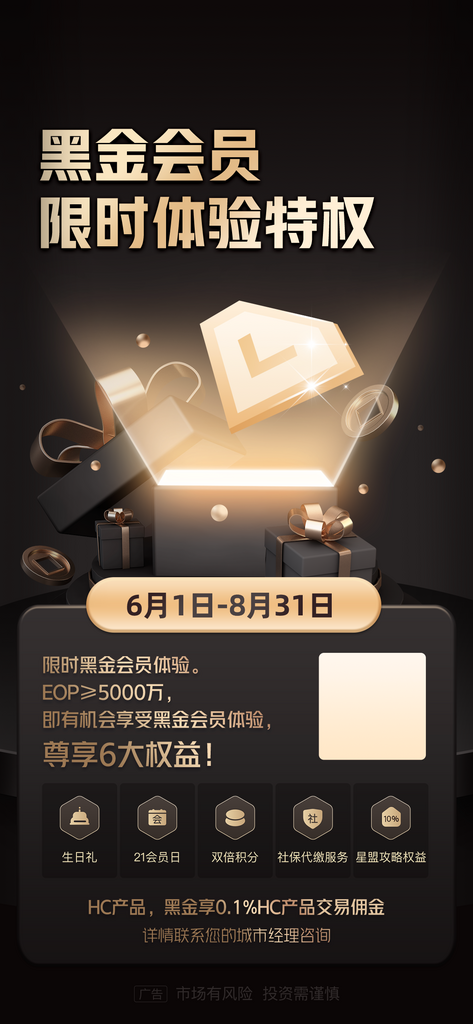 理财师黑金会员体验VIP招募海报素材