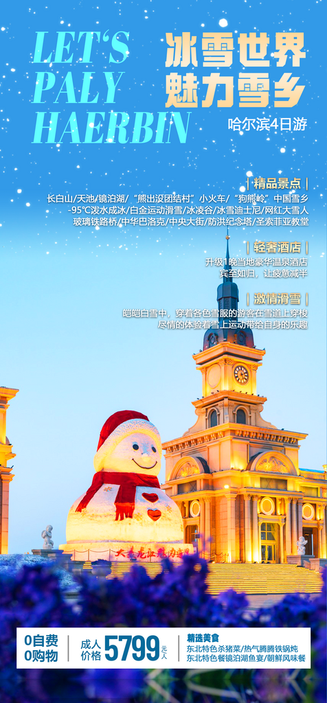 东北西北雪乡极光冰雕旅游宣传海报素材