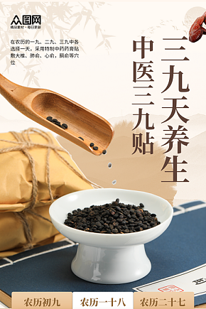 冬季养生重要三九天中医养生三九贴海报素材下载-众图网