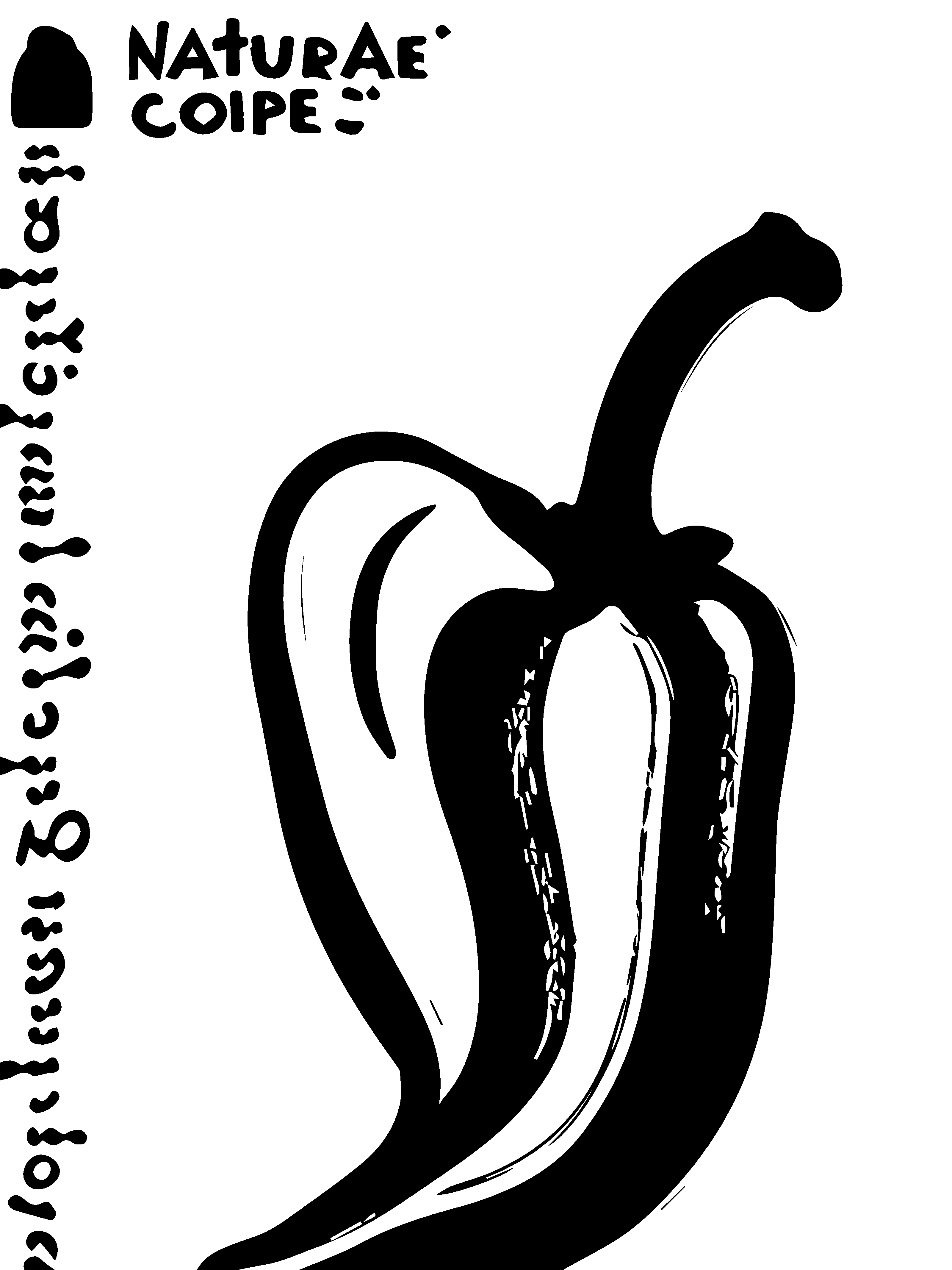 矢量辣椒插画图形素材