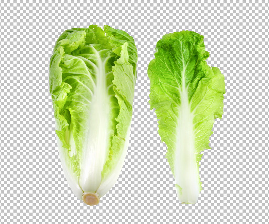 高清卷心菜蔬菜元素素材