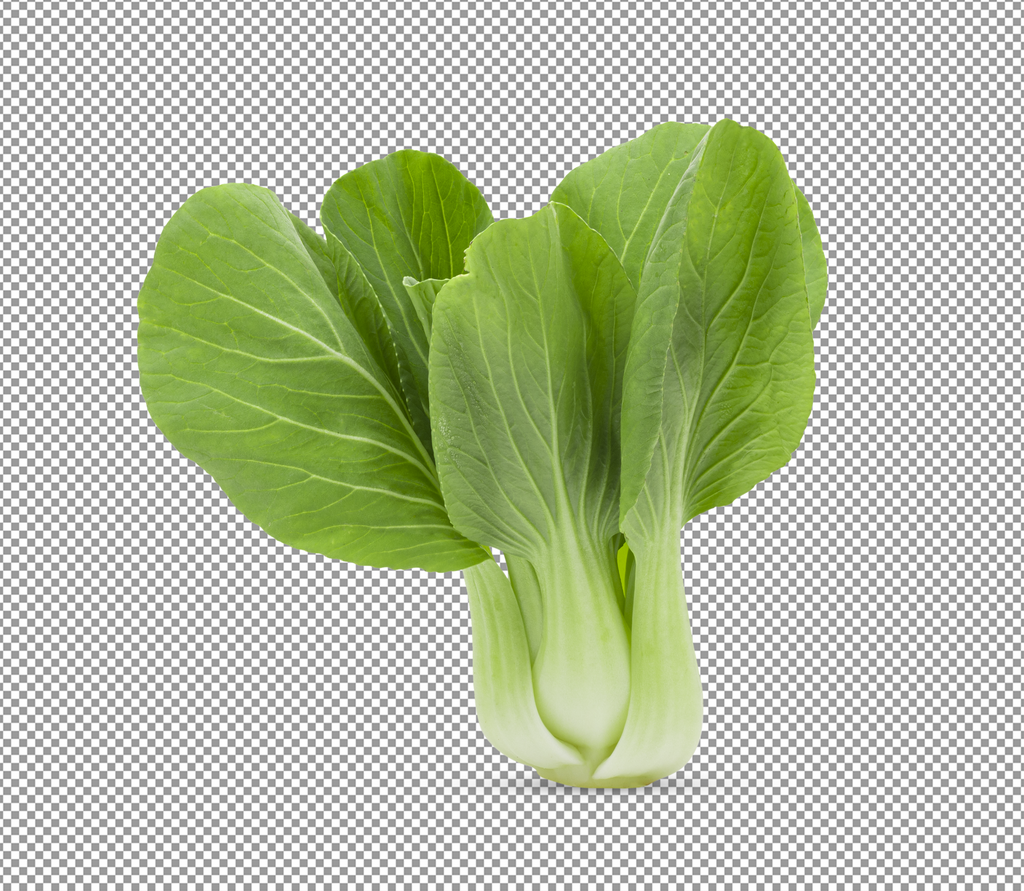高清油菜蔬菜元素素材