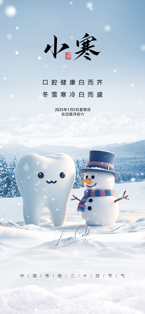 中国传统节气小寒手机海报素材