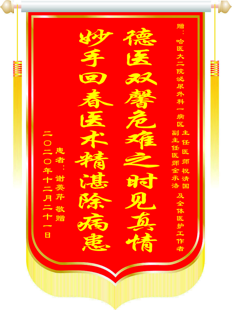 赠送学校红色镶金粉锦旗素材