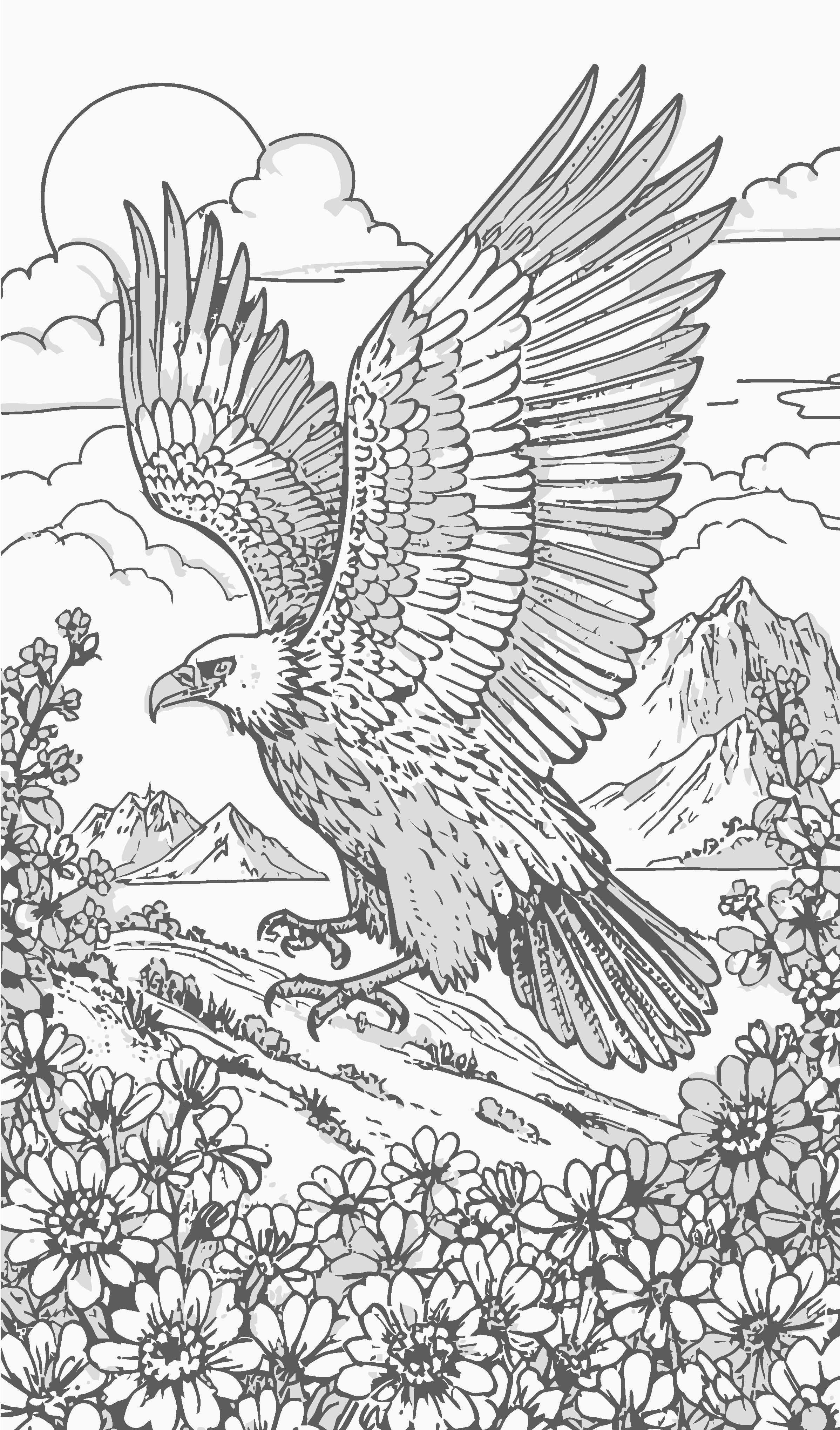 秃鹫雄鹰矢量图形插画素材