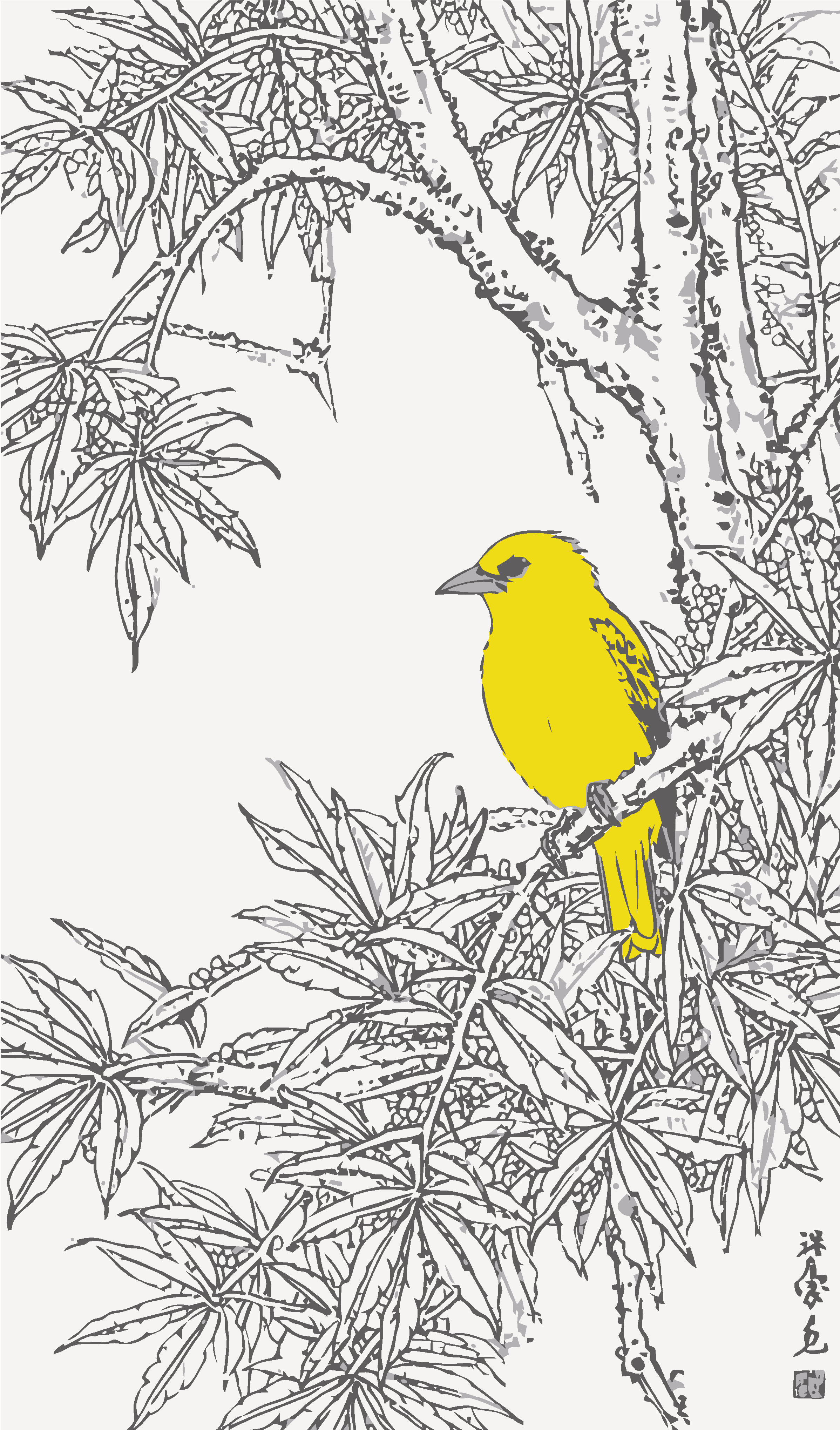 黄鹂鸟矢量图形插画素材