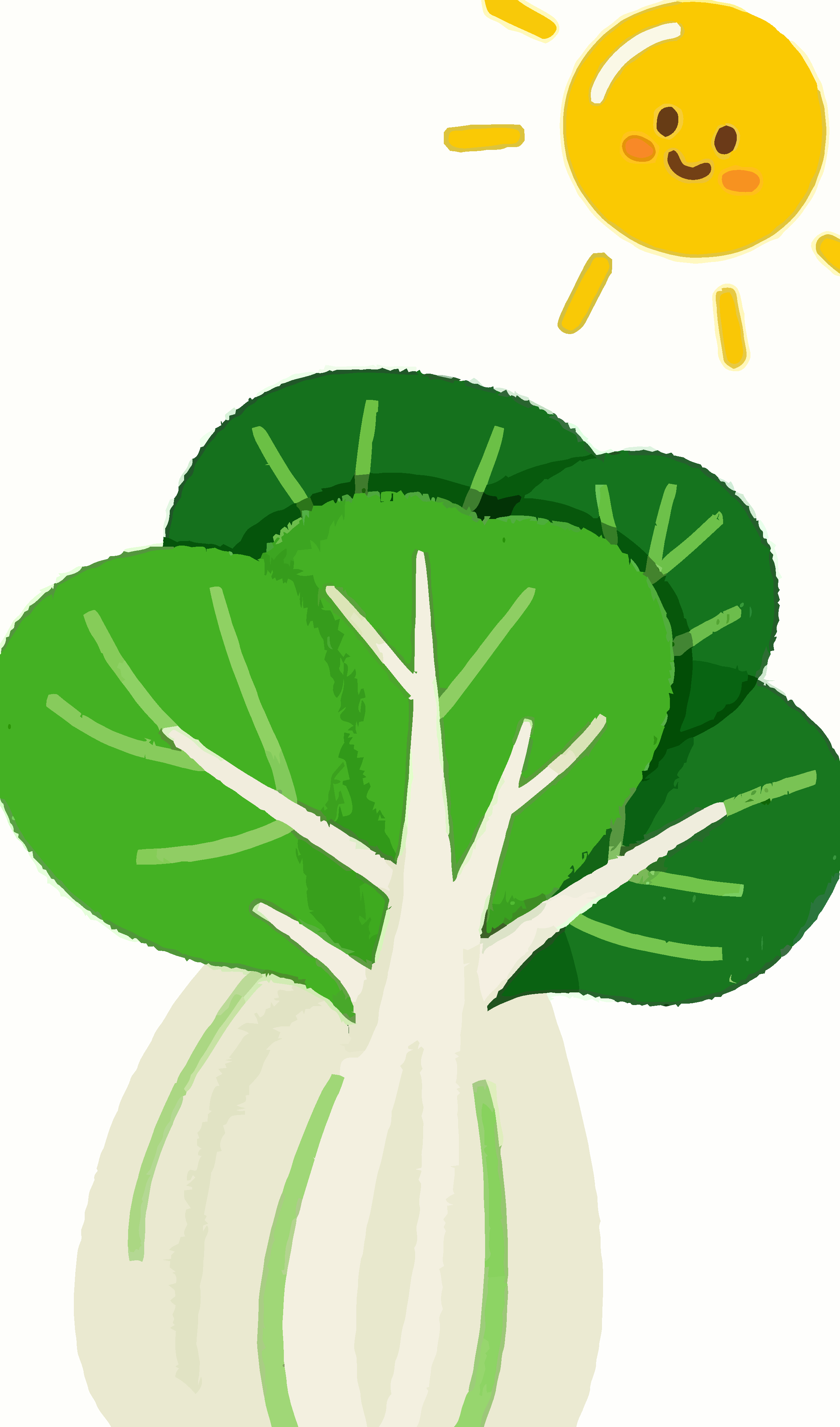 卡通白菜矢量插画图形素材
