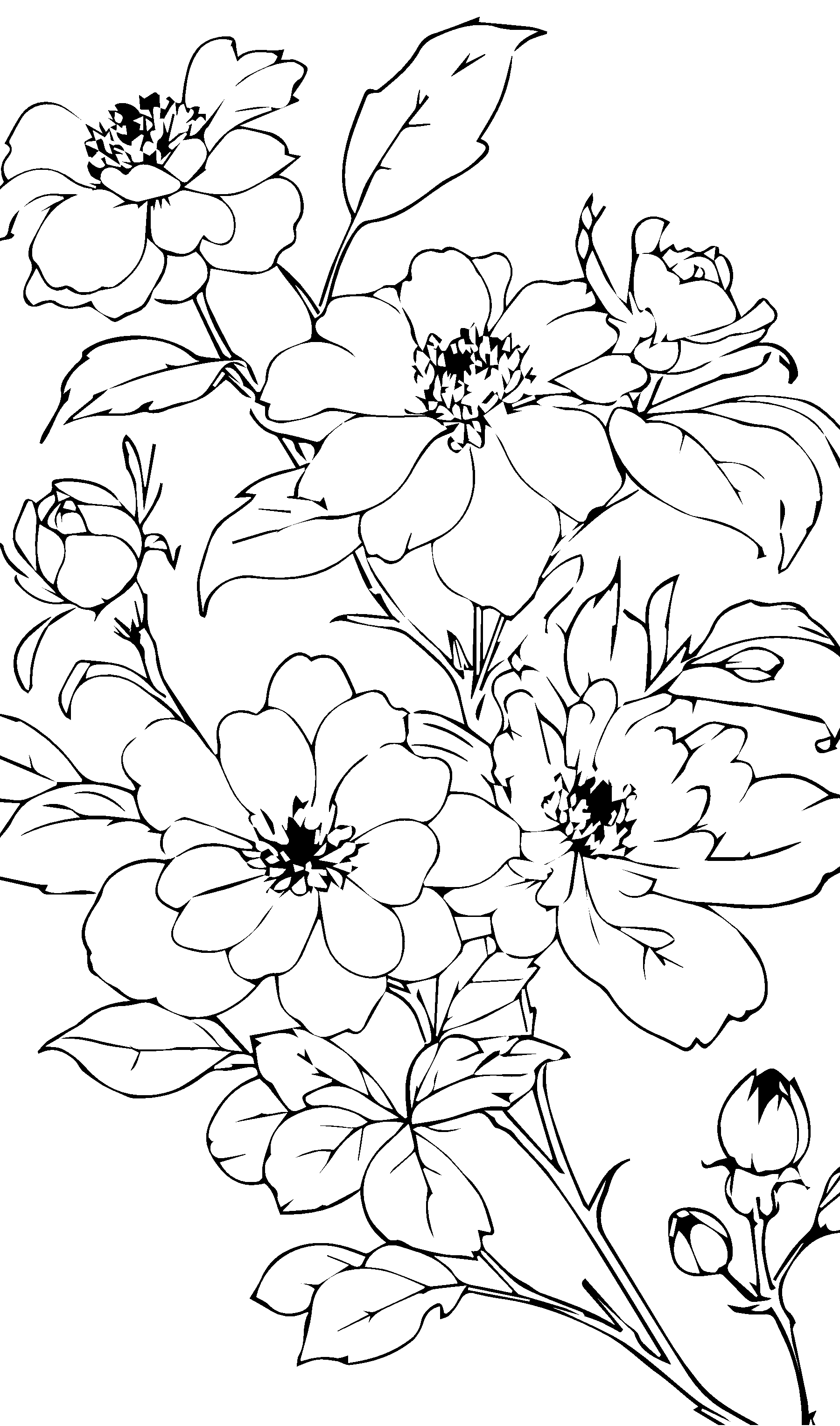 白描花卉矢量插画图形素材