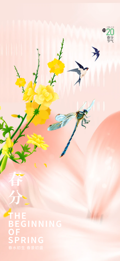 传统二十四节气春分海报素材