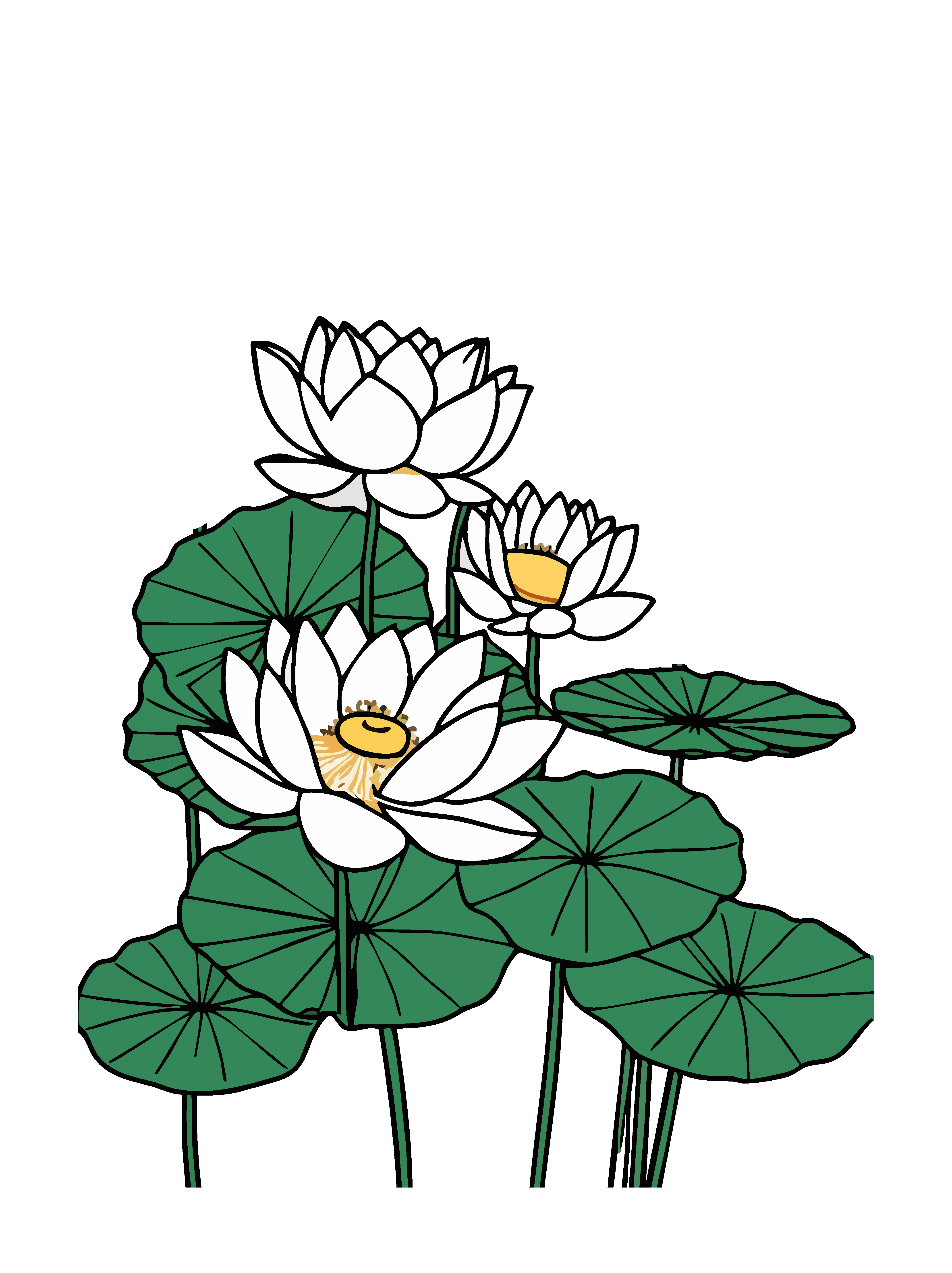矢量植物荷花素材图素材