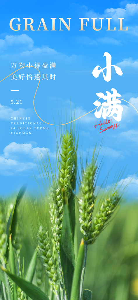 小满二十四节气海报素材