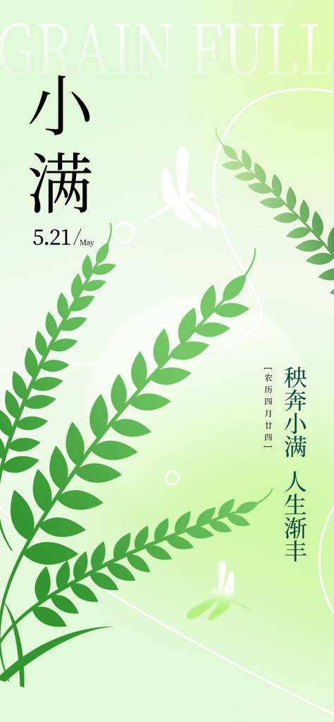 小满二十四节气海报素材