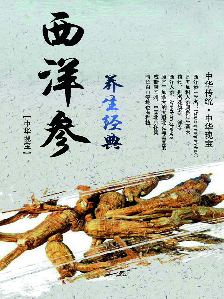 西洋参海报设计素材素材
