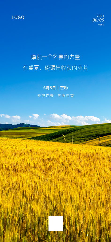 希望麦田展板设计素材