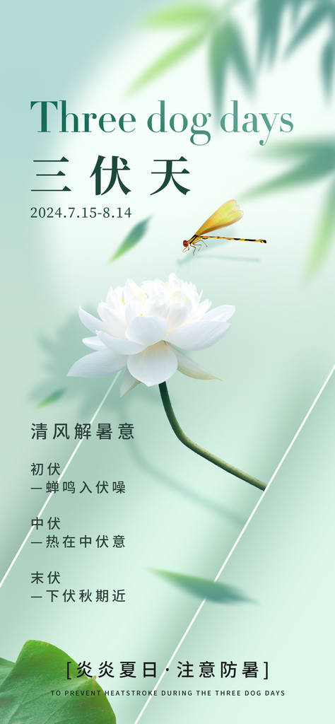 三伏天防暑简约海报素材