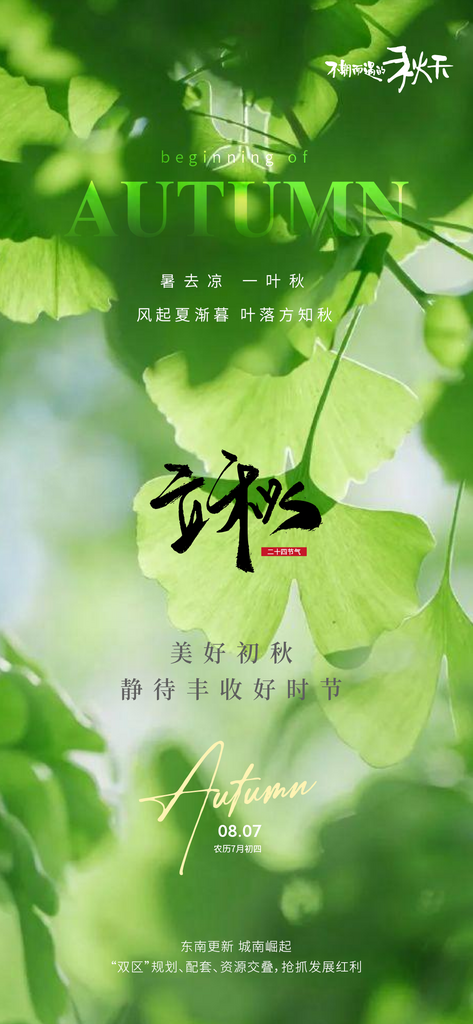 立秋2画板1副本素材
